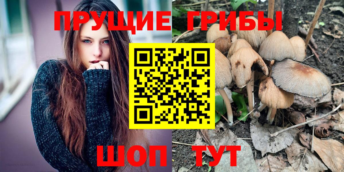 Галлюциногенные грибы Psilocybine cubensis  Галлюциногенные грибы Cubensis  Вход с VPN  Дятьково 